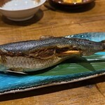 吉田町食堂 きんぎょ - 