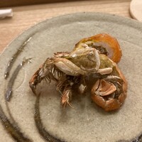 鮨 香坂 - 
