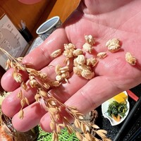 日本料理 きた山 新横浜店 - 