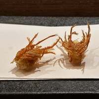 天 よこた - 