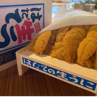 極上はだて生うに・熊本馬刺しと宮崎和牛コース