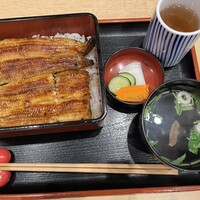 うなぎ割烹 白金台 まつ本 - 