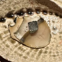 神楽坂 石かわ - 