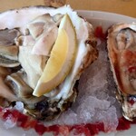 Trattoria Da KENZO - 