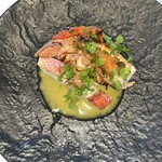 代官山ASO チェレステ - 