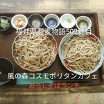 風の森 コスモポリタンカフェ - おろしそばランチ　大盛