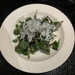 燕 - クレソンとしらすのサラダ、他店ではあまりみないので注文。ドレッシングが美味しかった。