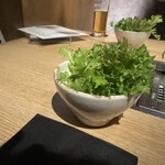 横浜焼肉kintan - 玉締めしぼり胡麻油とサラノバレタスのチョレギサラダ