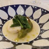 anchoa - 