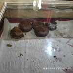 都留カントリー倶楽部 - 