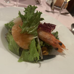 ミスター・スタンプス・ワインガーデン - 