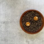 THE TABLE - 