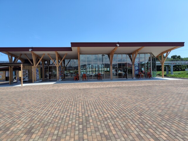 ラーメン せん家 山元店 - 坂元（ラーメン）の写真