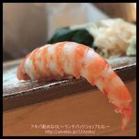 鮨 つきうだ - 