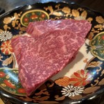 SATOブリアン - ヒレが普通に思える(バグってきた（ーー；）)