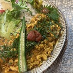 すぱいすにきいてみた@plants - 