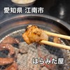 GoKuRaKu YaKiNiKu はらみた屋