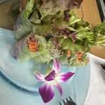 マンゴツリー東京 - 