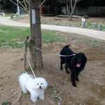 アネア　カフェ - アップで〜もう一枚！！