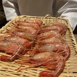 恵比寿 鮨 ふじまさ - 