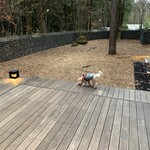 Regina Resort Kyukaruizawa - 稍微小型的狗狗跑道