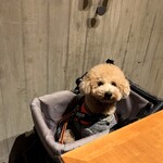 Regina Resort Kyukaruizawa - Feeling hungry and eager to eat (..;)