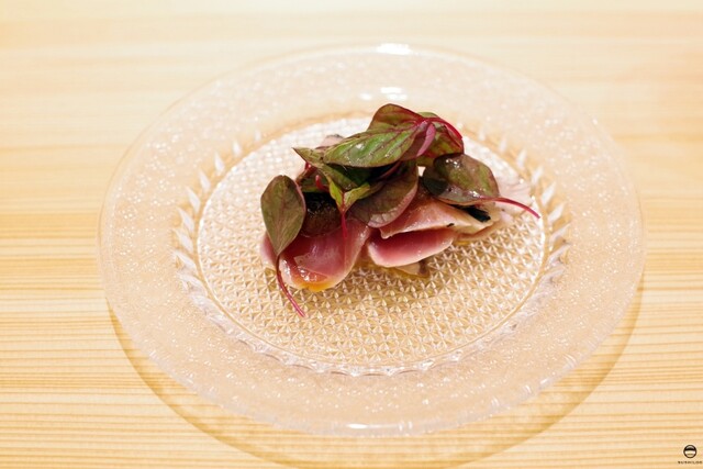 Shikemichi Matsu photo 4