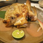 白グジカマ塩焼き