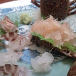 烏山 - 伊勢海老とクルマエビと。