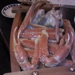 IVY - ズワイガイ