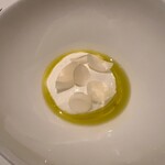 カンテサンス - 