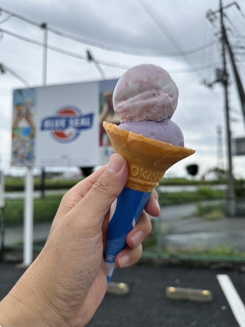 ブルーシール 熊谷店 （BLUE SEAL） - ソシオ流通センター/ジェラート