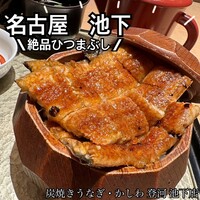 炭焼きうなぎ・かしわ 登河 池下店 - 
