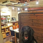 アネア　カフェ - ワン！！（犬語でそうだネ！）