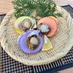 伊勢志摩パールヴィレッジ BBQテラス 山﨑屋 - 檜扇貝