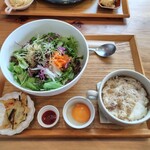 かかの掌 - サラダピビンバ