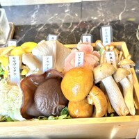 シャングリラズシークレット 銀座店 - 