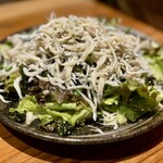 Hori Zou - Shirasu Salad