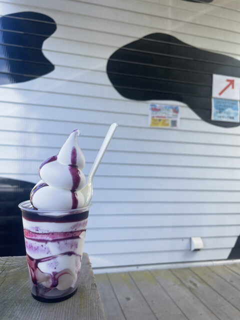 白⓴❺むらさき園さん専用 白⓴❺むらさき園さん専用