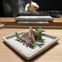 鳥カミ GARDEN CITY - 