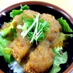 カラーズ - 2014年4月10日　今日のワンコ　ヒレカツおろし丼