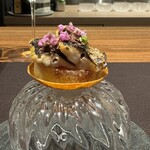 イル アオヤマ - 