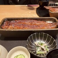うなぎ四代目菊川 ムスブ田町店 -  うなぎ四代目菊川 ムスブ田町店 -