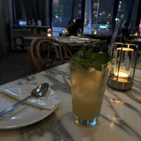 THE APOLLO - 