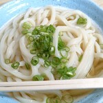 讃岐うどん がもう - 温かい大