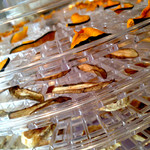 パプリカ食堂 Vegan - 