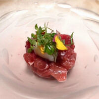 OLMO - 