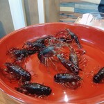 レストラン ナズ - 