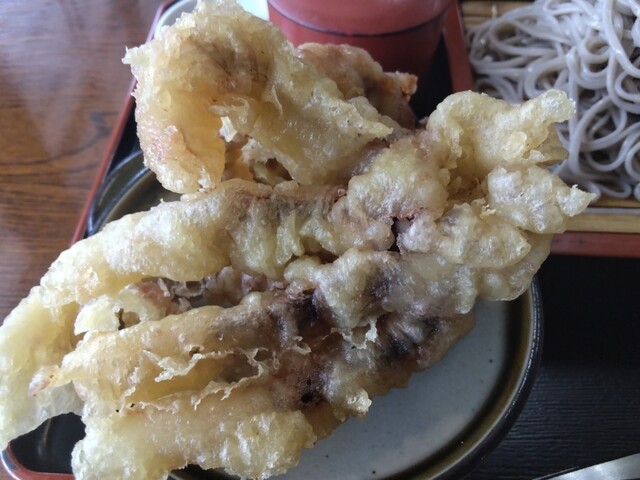 畠山旅館　更科八（はたけやまりょかん　さらしなや） - 渋民（料理旅館）の写真