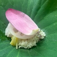 赤坂 菊乃井 - 
